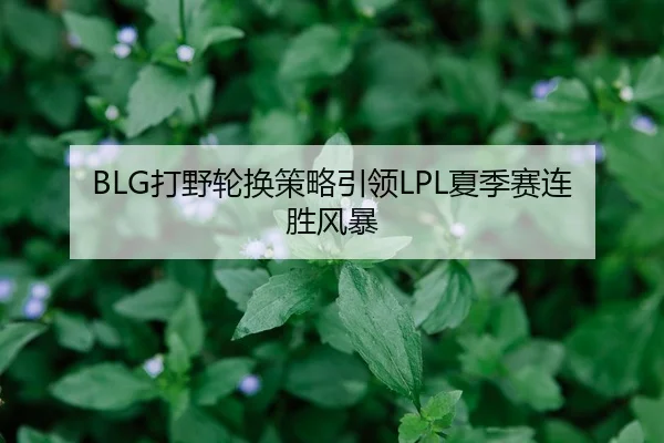 BLG打野轮换策略引领LPL夏季赛连胜风暴 - 6686.com