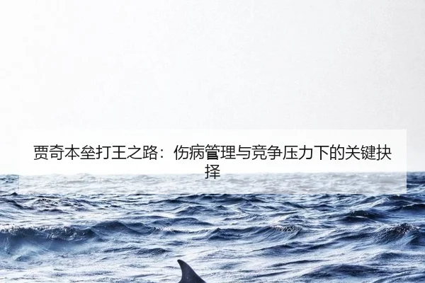 jia-qi-ben-lei-da-wang-zhi-lu-shang-bing-guan-li-yu-jing-zheng-ya-li-xia-de-guan-jian-jue-ze-3-704.jpg